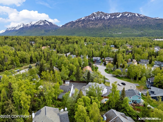 10931 Adanak Cir, Eagle River, AK 99577 - aerial perspective of suburban area with a forest and a mountainous background