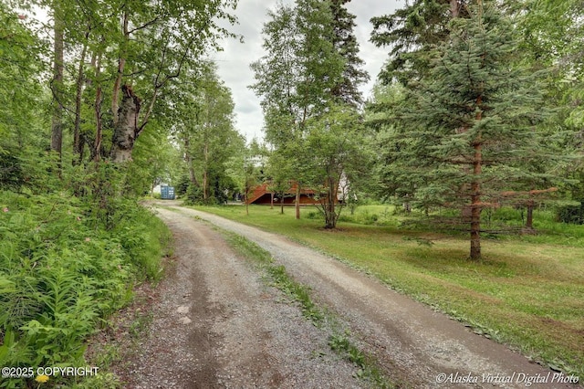17690 E Idle Dr, Palmer, AK 99645 - view of dirt / gravel road featuring a forest view