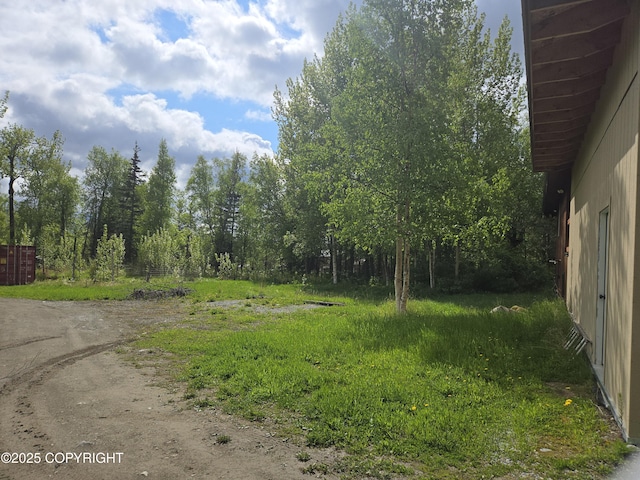 17690 E Idle Dr, Palmer, AK 99645 - view of dirt / gravel road