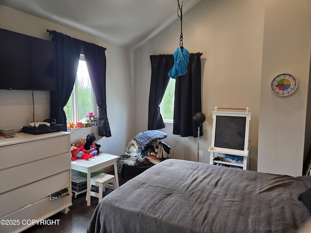 17690 E Idle Dr, Palmer, AK 99645 - bedroom featuring vaulted ceiling and dark wood finished floors
