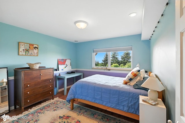 41722 Charlie Dr, Homer, AK 99603 - bedroom featuring wood finished floors