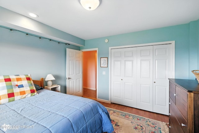41722 Charlie Dr, Homer, AK 99603 - bedroom featuring wood finished floors and a closet