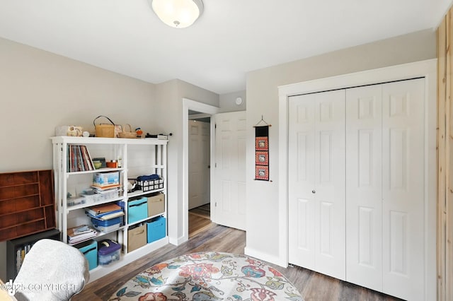 41722 Charlie Dr, Homer, AK 99603 - bedroom with wood finished floors and a closet