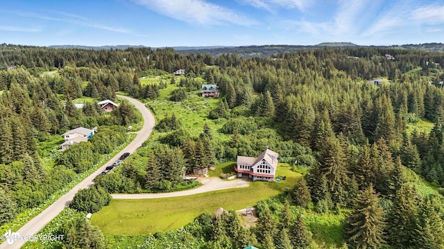 41722 Charlie Dr, Homer, AK 99603 - bird's eye view of a forest