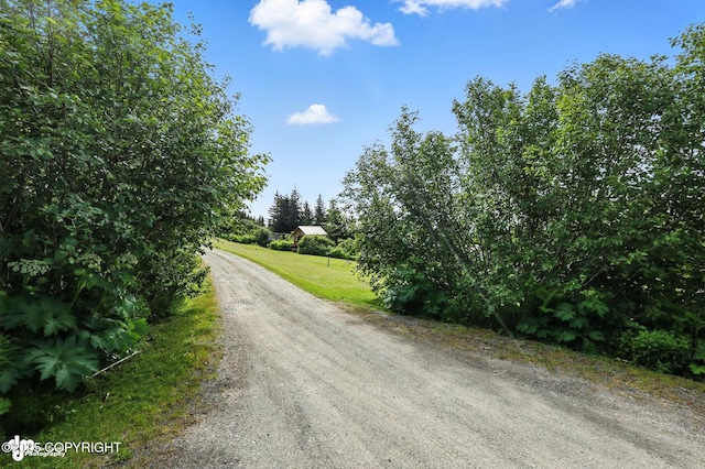 41722 Charlie Dr, Homer, AK 99603 - view of dirt / gravel road
