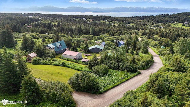 41722 Charlie Dr, Homer, AK 99603 - drone / aerial view of a forest and mountains