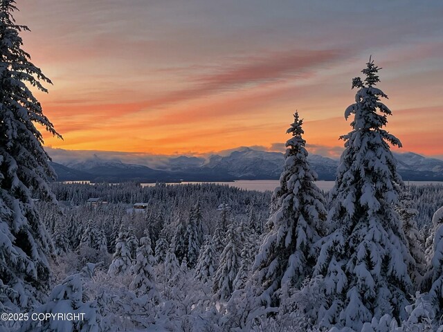 41722 Charlie Dr, Homer, AK 99603 - view of mountain background featuring a forest