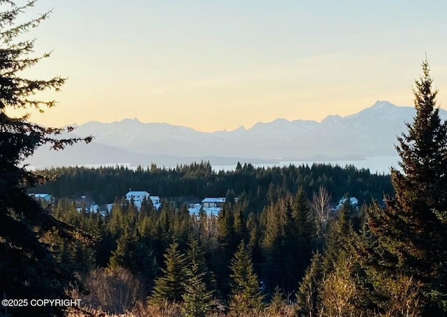 41722 Charlie Dr, Homer, AK 99603 - view of mountain background with a heavily wooded area