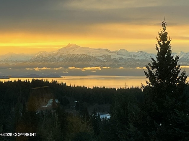 41722 Charlie Dr, Homer, AK 99603 - view of local wilderness with a water and mountain view