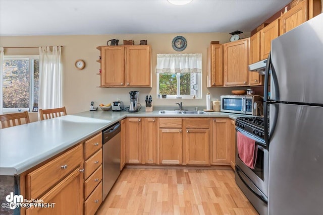 20838 Helluva St, Chugiak, AK 99567 - kitchen with appliances with stainless steel finishes, a sink, under cabinet range hood, a peninsula, and light wood-type flooring