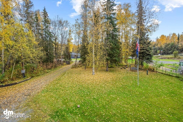 20838 Helluva St, Chugiak, AK 99567 - view of grassy yard