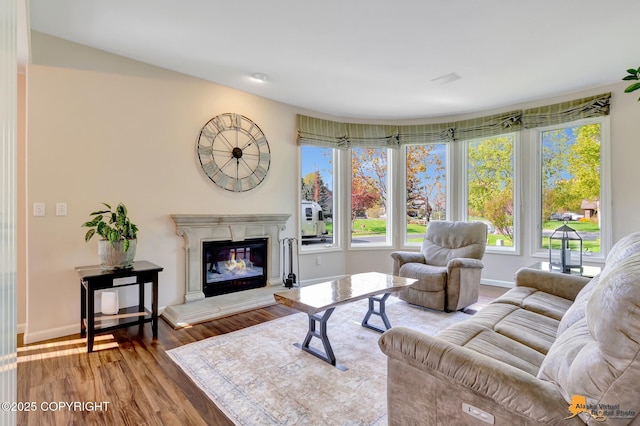740 Botanical Heights Cir, Anchorage, AK 99515 - living area featuring wood finished floors, plenty of natural light, a glass covered fireplace, and baseboards