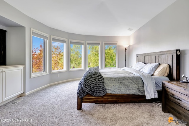 740 Botanical Heights Cir, Anchorage, AK 99515 - carpeted bedroom with baseboards