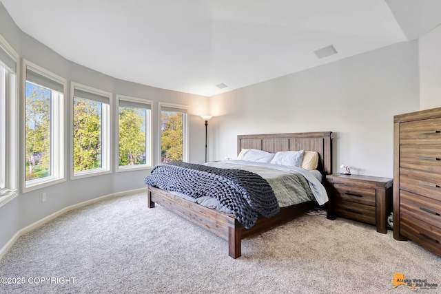 740 Botanical Heights Cir, Anchorage, AK 99515 - carpeted bedroom featuring baseboards