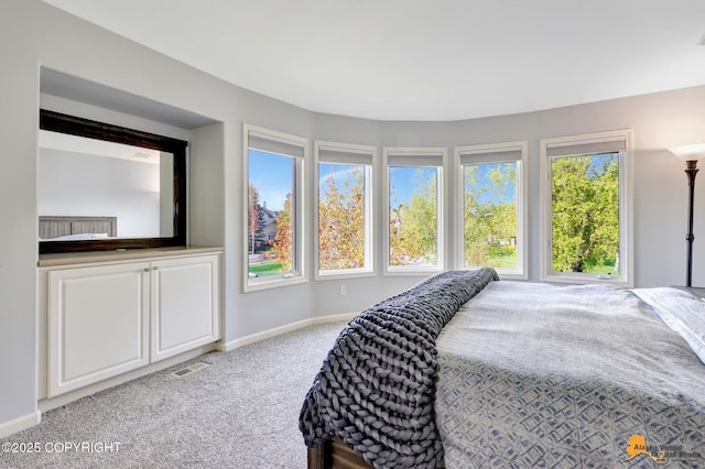 740 Botanical Heights Cir, Anchorage, AK 99515 - carpeted bedroom featuring multiple windows and baseboards