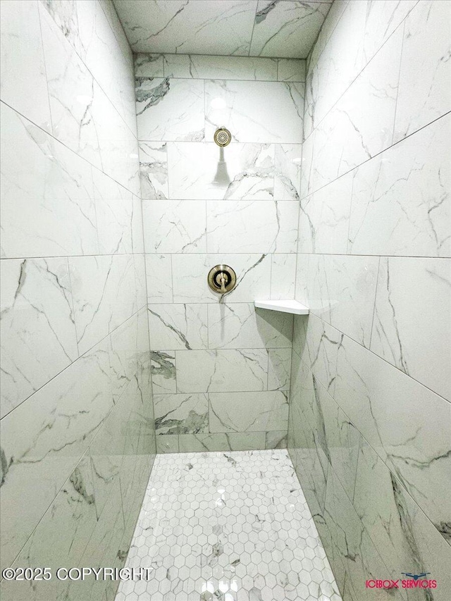 9089 E Spring Creek Cir, Palmer, AK 99645 - full bathroom featuring a tile shower