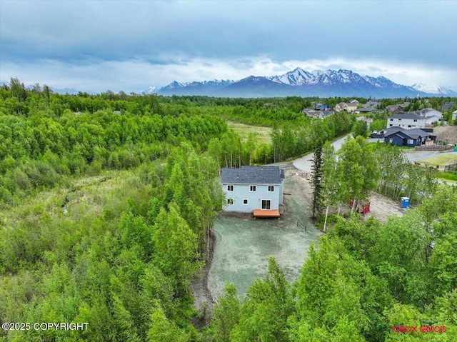9089 E Spring Creek Cir, Palmer, AK 99645 - view of subject property with a mountain backdrop and a forest
