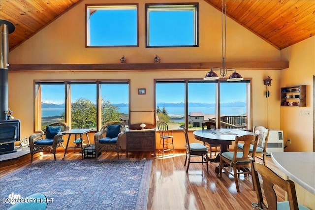5301 N Glacier View Ct, Homer, AK 99603 - sunroom with a wood stove and lofted ceiling