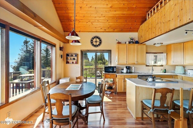 5301 N Glacier View Ct, Homer, AK 99603 - kitchen with black appliances, lofted ceiling, plenty of natural light, light wood-style flooring, and light brown cabinetry