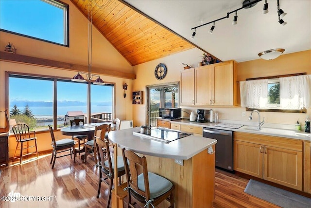 5301 N Glacier View Ct, Homer, AK 99603 - kitchen with black appliances, rail lighting, light countertops, a center island, and dark wood-type flooring