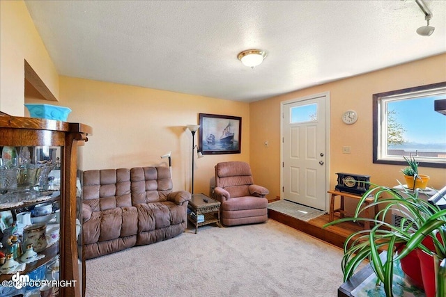 5301 N Glacier View Ct, Homer, AK 99603 - carpeted living area with a textured ceiling