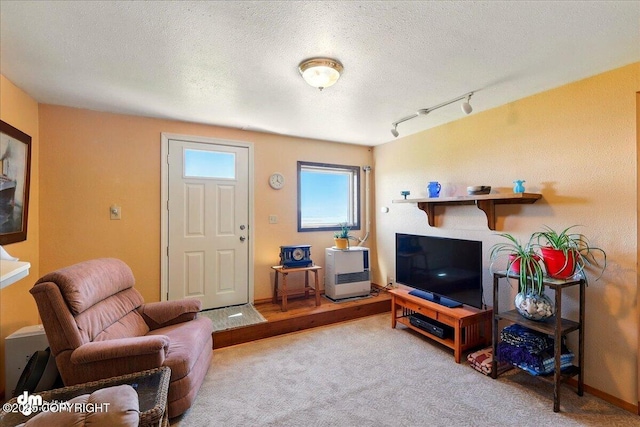 5301 N Glacier View Ct, Homer, AK 99603 - living area featuring carpet floors, a textured ceiling, and baseboards