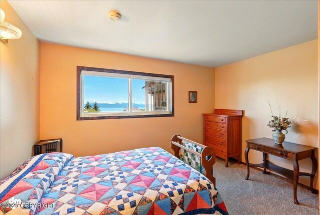 5301 N Glacier View Ct, Homer, AK 99603 - view of carpeted bedroom