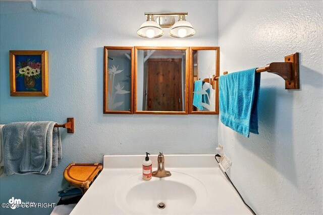 5301 N Glacier View Ct, Homer, AK 99603 - bathroom with vanity