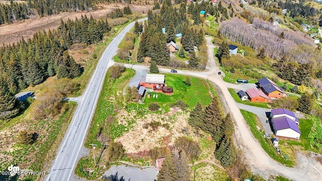 5301 N Glacier View Ct, Homer, AK 99603 - aerial overview of property's location