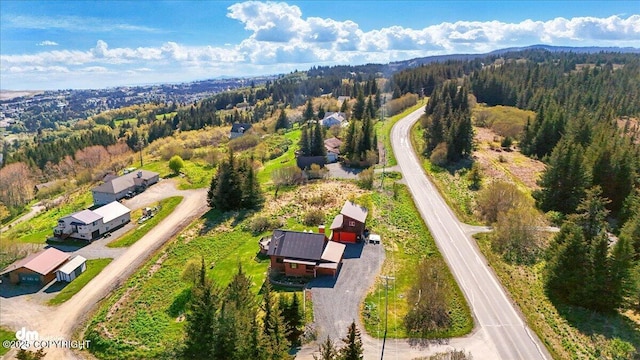 5301 N Glacier View Ct, Homer, AK 99603 - aerial view of property and surrounding area with a forest