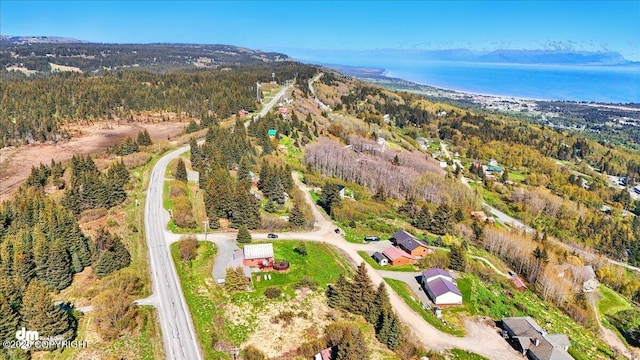 5301 N Glacier View Ct, Homer, AK 99603 - aerial view of property's location featuring a forest and a nearby body of water