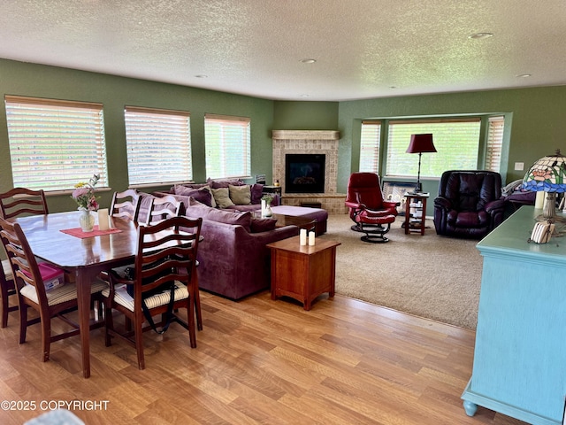 17110 E Kathy Cir, Palmer, AK 99645 - living room featuring a textured ceiling, light wood-type flooring, plenty of natural light, and a fireplace with raised hearth