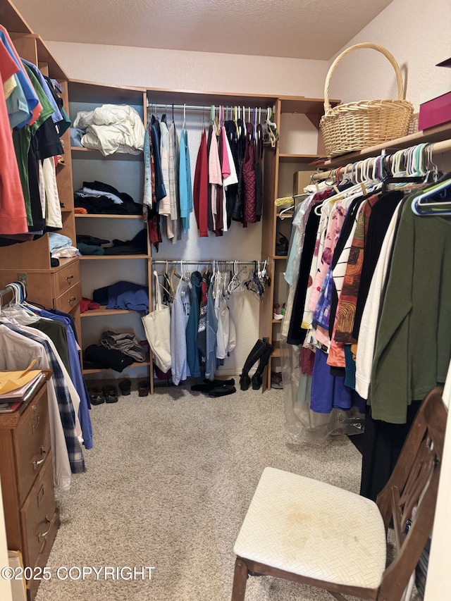 17110 E Kathy Cir, Palmer, AK 99645 - walk in closet with carpet floors