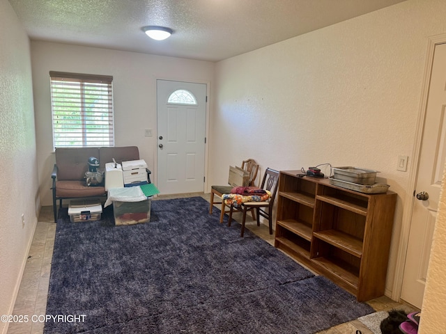17110 E Kathy Cir, Palmer, AK 99645 - entryway featuring a textured ceiling and a textured wall