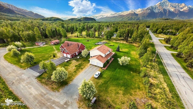 17110 E Kathy Cir, Palmer, AK 99645 - view of subject property with mountains and a heavily wooded area