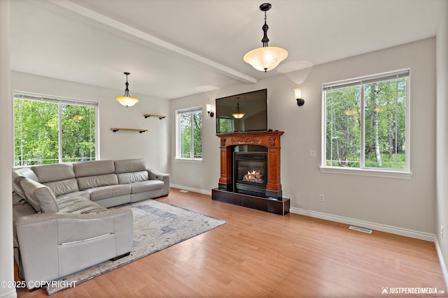 1675 E Pintail Dr, Wasilla, AK 99645 - living area featuring plenty of natural light, baseboards, wood finished floors, a tile fireplace, and beam ceiling
