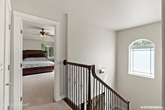 1675 E Pintail Dr, Wasilla, AK 99645 - corridor featuring an upstairs landing, carpet floors, and healthy amount of natural light