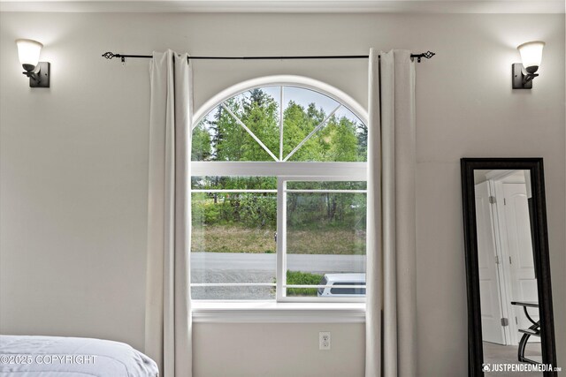 1675 E Pintail Dr, Wasilla, AK 99645 - bedroom featuring multiple windows
