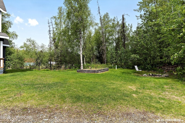 1675 E Pintail Dr, Wasilla, AK 99645 - view of green lawn