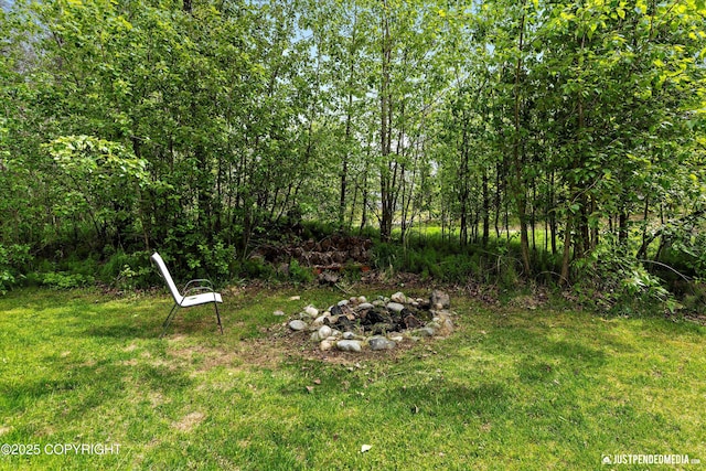 1675 E Pintail Dr, Wasilla, AK 99645 - view of green lawn