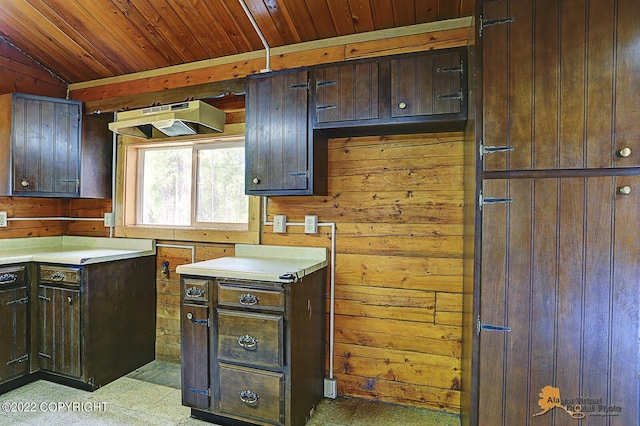 8301 W Lost Valley Rd, Wasilla, AK 99623 - kitchen featuring wooden walls, wood ceiling, light countertops, dark brown cabinets, and under cabinet range hood