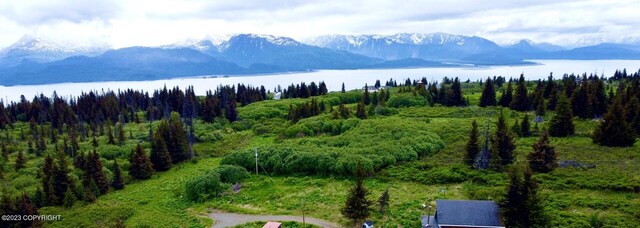 51405 Mossberry Ave, Homer, AK 99603 - photo 2