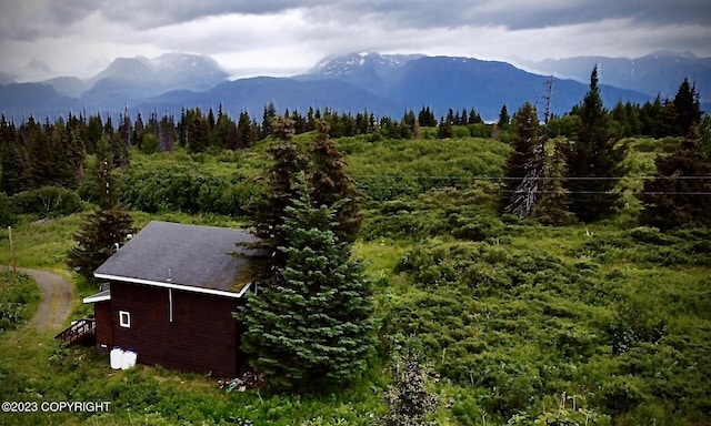 51405 Mossberry Ave, Homer, AK 99603 - photo 6