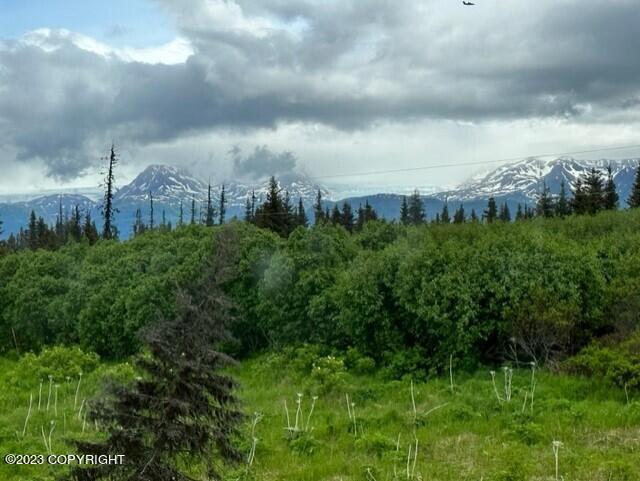 51405 Mossberry Ave, Homer, AK 99603 - photo 7