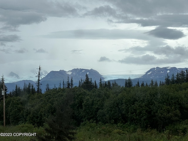51405 Mossberry Ave, Homer, AK 99603 - photo 8