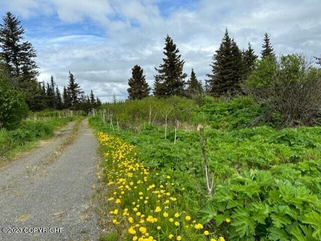 51405 Mossberry Ave, Homer, AK 99603 - photo 9