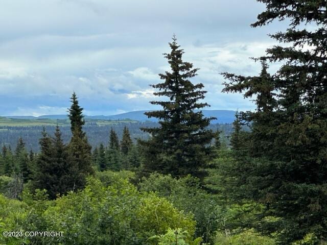 51405 Mossberry Ave, Homer, AK 99603 - photo 11