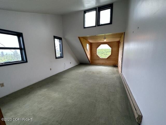 51405 Mossberry Ave, Homer, AK 99603 - photo 31