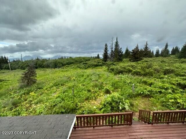 51405 Mossberry Ave, Homer, AK 99603 - photo 32