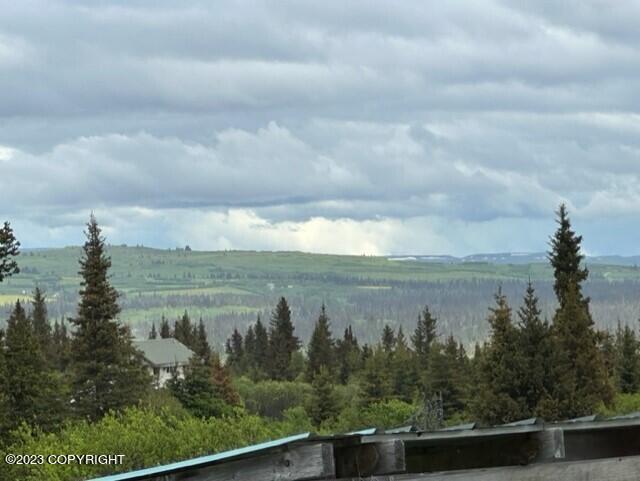 51405 Mossberry Ave, Homer, AK 99603 - photo 43